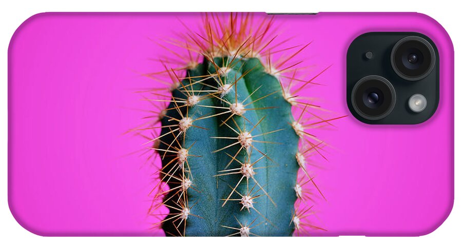 Cactus iPhone Case featuring the photograph Trendy neon cactus closeup over bright pink pastel background. C by Jelena Jovanovic
