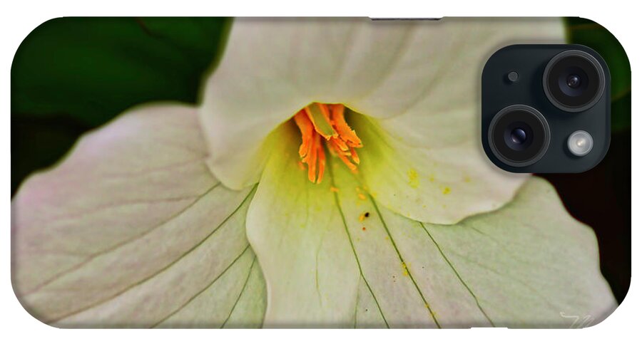 Macro Photography iPhone Case featuring the photograph Trillium Closeup by Meta Gatschenberger