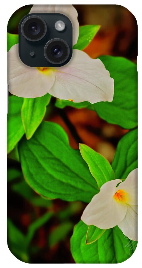 Macro Photography iPhone Case featuring the photograph Trilliums by Meta Gatschenberger