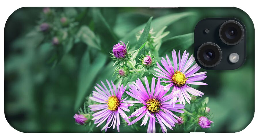 New England Aster iPhone Case featuring the photograph Trio of New England Aster Blooms by Scott Norris