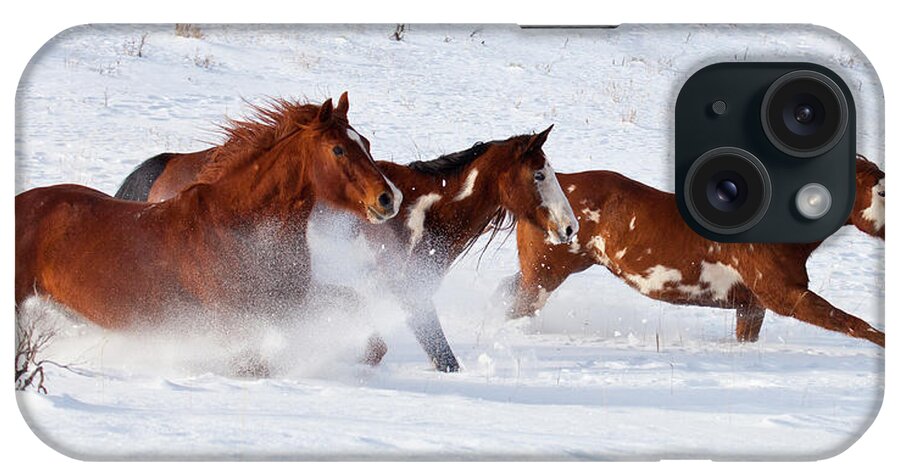 Horse iPhone Case featuring the photograph Trio Of Quarter Horses Running In Snow by Darrell Gulin