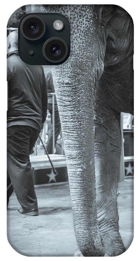 Elephant iPhone Case featuring the photograph Trunk by Phil S Addis