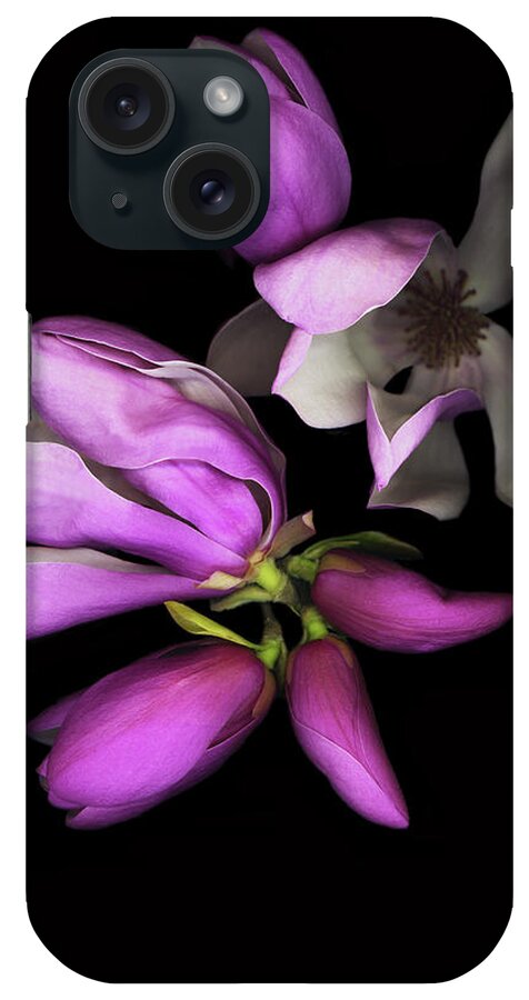 Purple Tulip Magnolia iPhone Case featuring the painting Tulip Magnolia #2 by Susan S. Barmon