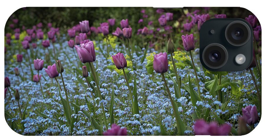 Tulips iPhone Case featuring the photograph Tulips at Great Dixter Gardens by Perry Rodriguez