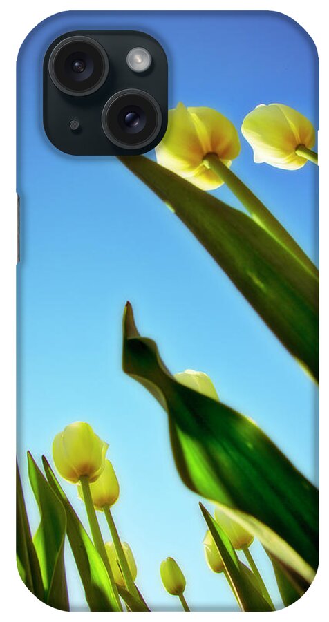 Evie iPhone Case featuring the photograph Tulips Holland Michigan 944 by Evie Carrier