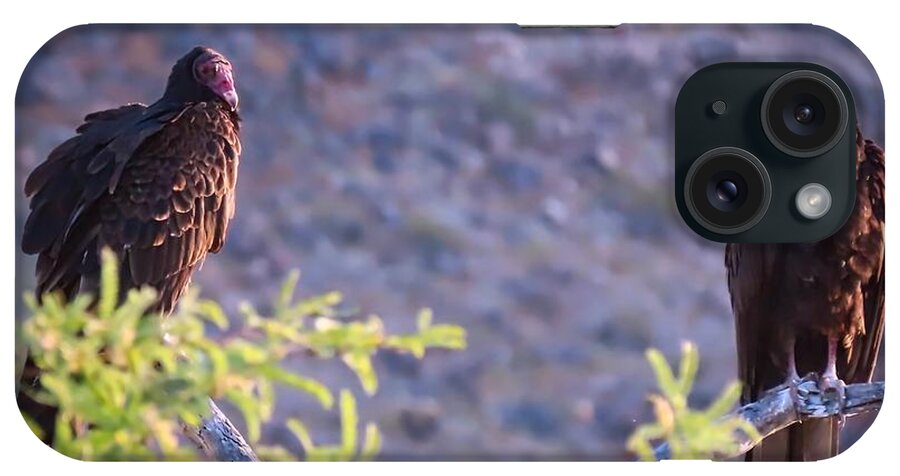 Arizona iPhone Case featuring the photograph Turkey Vulture Couple by Judy Kennedy