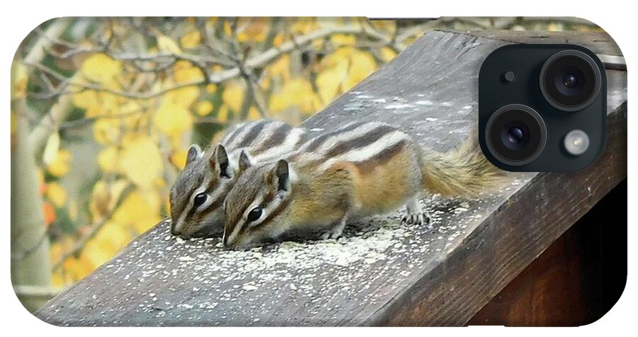 Animals iPhone Case featuring the photograph Twin Chipmunks by Karen Stansberry