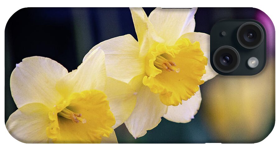 Art iPhone Case featuring the photograph Twin Daffodils by Joan Han