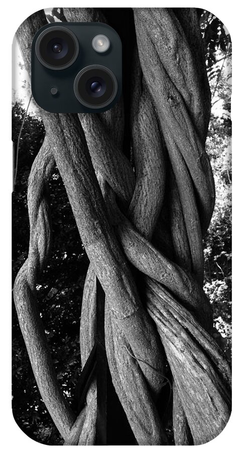 Tree iPhone Case featuring the photograph Twisted Tree by Marty Klar
