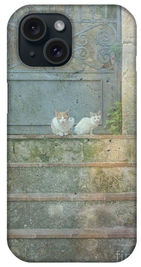 Old iPhone Case featuring the digital art Two cats on stairs by Patricia Hofmeester