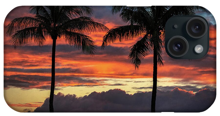 Hawaii iPhone Case featuring the photograph Two Coconuts by G Lamar Yancy