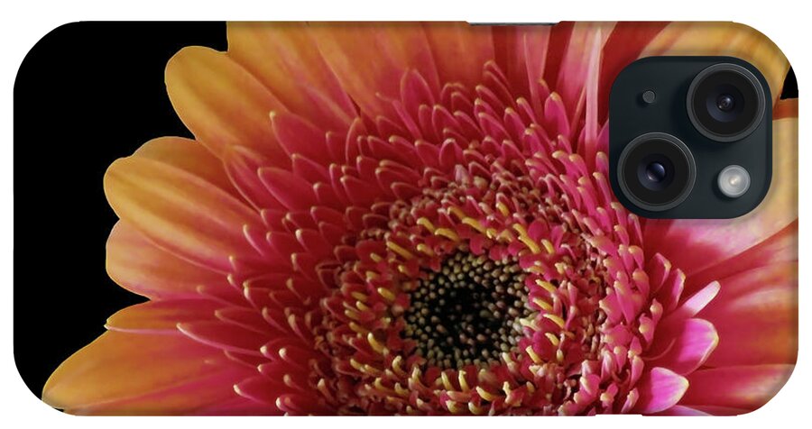 Flower iPhone Case featuring the photograph Two Colored Gerbera Beauty by Johanna Hurmerinta