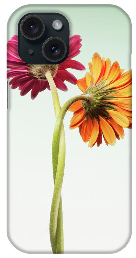 Wind iPhone Case featuring the photograph Two Gerbera Daisies Intertwined by Chris Ryan