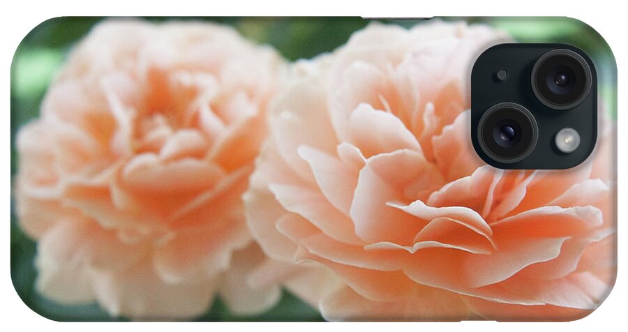 Peaches iPhone Case featuring the photograph Two Peachy by Shirley Heier