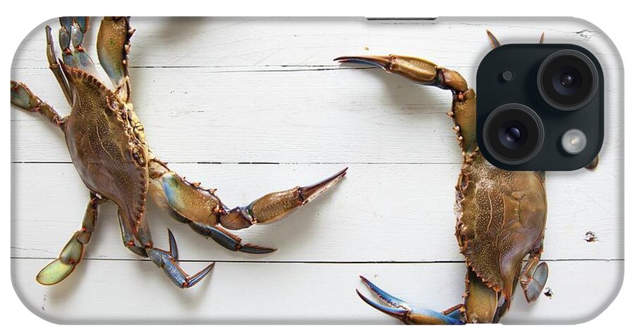 Ip_12344194 iPhone Case featuring the photograph Two Vivid Blue Crabs On A Wooden Background by Andr Ainsworth