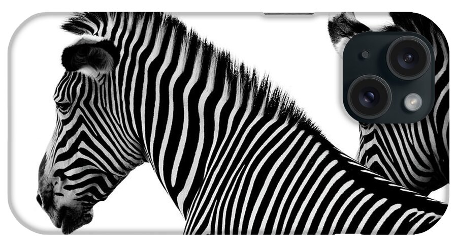 White Background iPhone Case featuring the photograph Two Zebras by Dulancristian