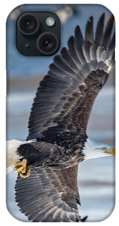 Eagle iPhone Case featuring the photograph Under Wing by Laura Hedien