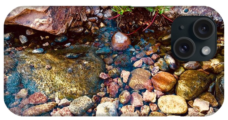 Las Vegas iPhone Case featuring the photograph Up a Creek by Debra Grace Addison