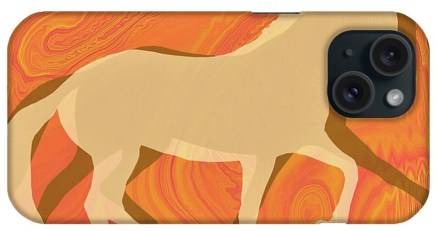 Acceptance iPhone Case featuring the photograph Up The Level Colors by Dressage Design