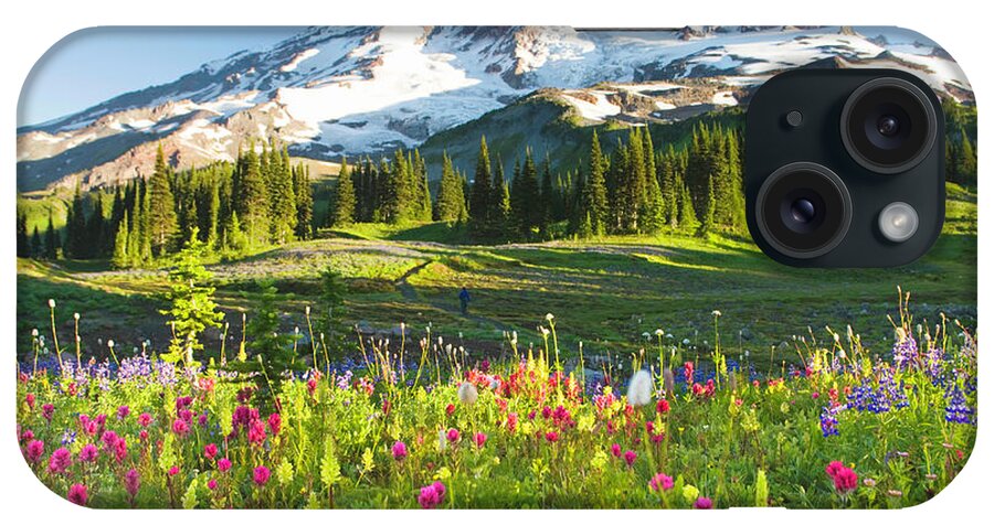 Scenics iPhone Case featuring the photograph Usa, Washington, Mt. Rainier National by Rene Frederick