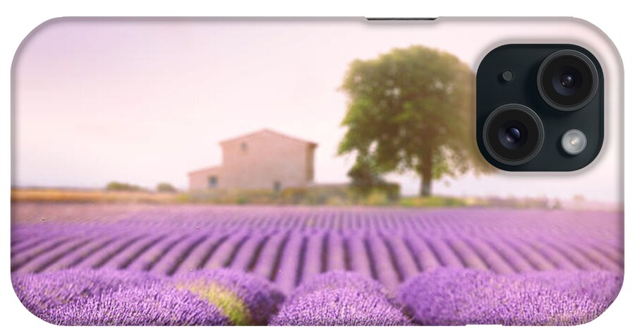 Lavender Field iPhone Case featuring the photograph Valensole Plateau 2 by Giovanni Allievi