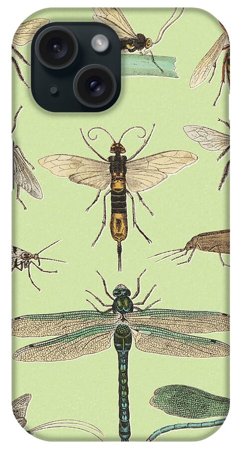 Animal iPhone Case featuring the drawing Various Flying Insects by CSA Images