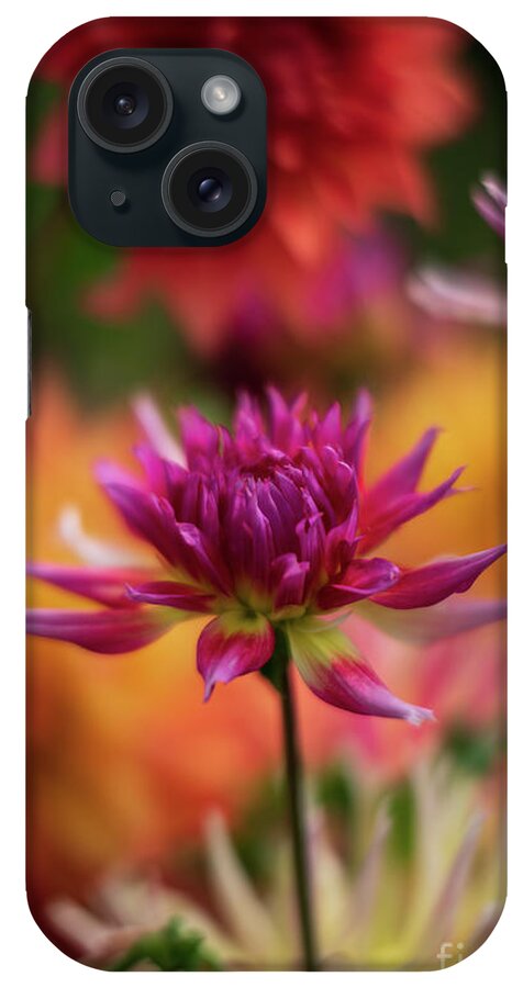 Dahlia iPhone Case featuring the photograph Vibrant Dahlia Montage by Mike Reid