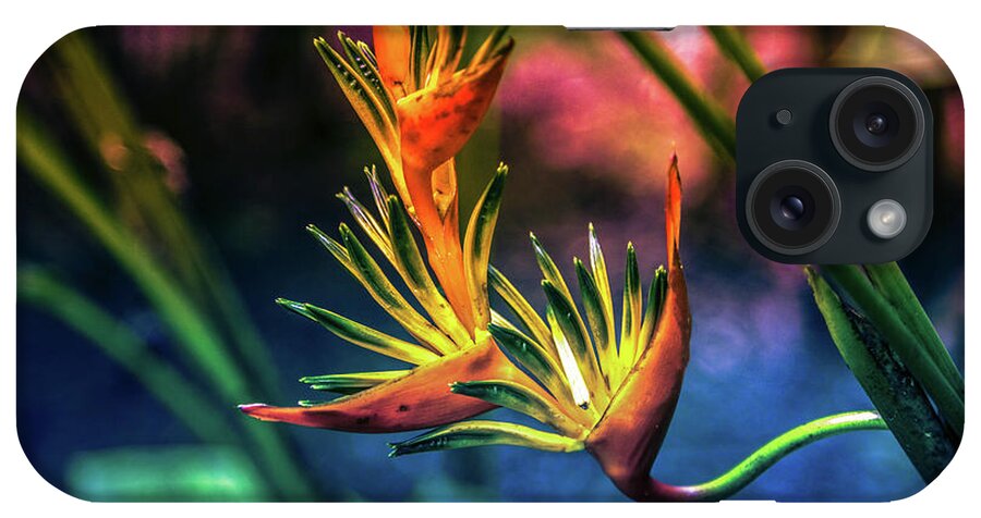 Bird Of Paradise iPhone Case featuring the digital art Vibrant Jungle Bird by Pheasant Run Gallery