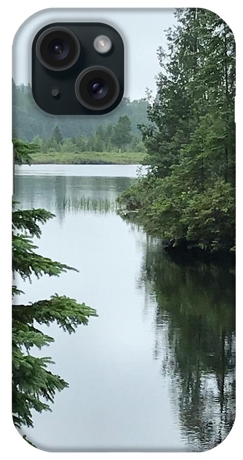 Forest Walk iPhone Case featuring the photograph View from the path by Judy Dimentberg