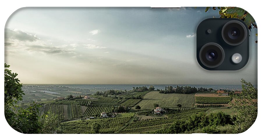 Vineyard iPhone Case featuring the photograph Vineyards on hills at sunset by Vivida Photo PC