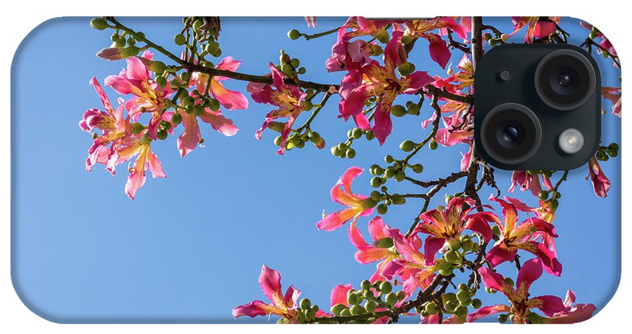 Georgia Mizuleva iPhone Case featuring the photograph Vivacious Exotic Blooms - Flowering Silk Floss Tree Ceiba Speciosa by Georgia Mizuleva