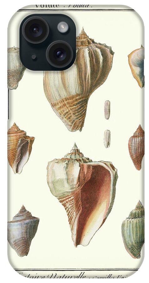 Coastal iPhone Case featuring the painting Volute Shells, Pl.384 by Denis Diderot