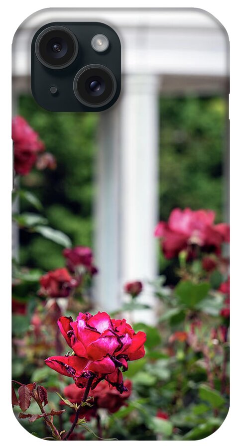 Asia iPhone Case featuring the photograph VP Garden 2 by Bill Chizek