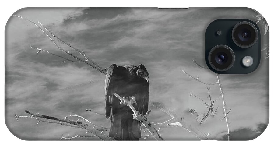 Black And White iPhone Case featuring the photograph Vulture in Clouds by Sandra Dalton