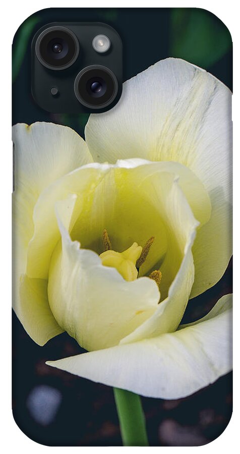 America iPhone Case featuring the photograph Wabi-sabi by ProPeak Photography