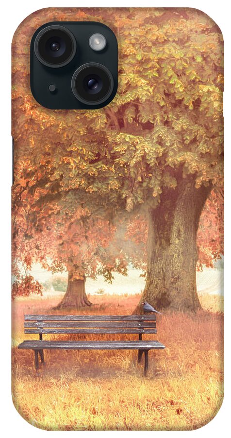Fall iPhone Case featuring the photograph Waiting for You in Early Autumn Mists by Debra and Dave Vanderlaan