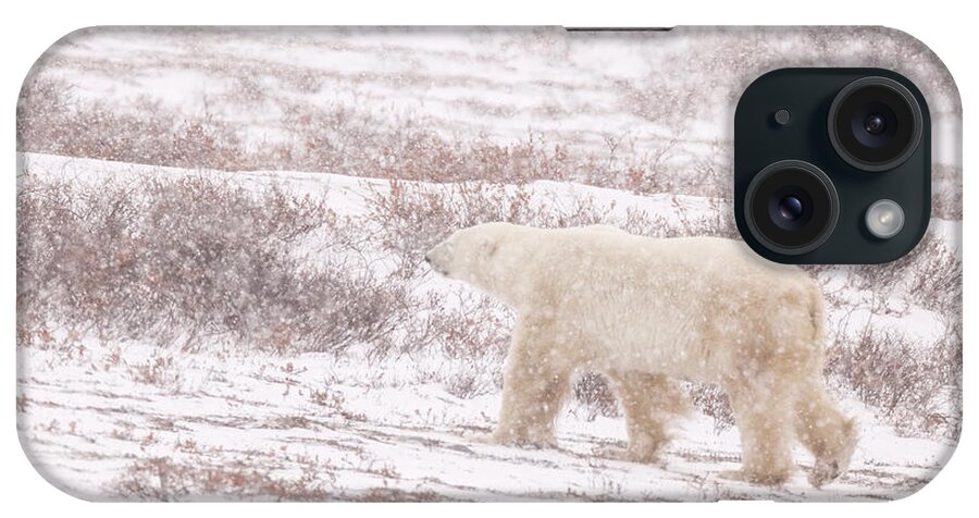 Polar_bear iPhone Case featuring the photograph Walking In The Ocean Of Snow by Jelieta Walinski