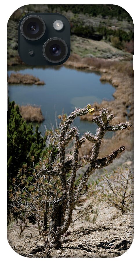Land Of Enchantment iPhone Case featuring the photograph Walking Stick Cactus In Foreground With Pond And Forest In Background by Cavan Images