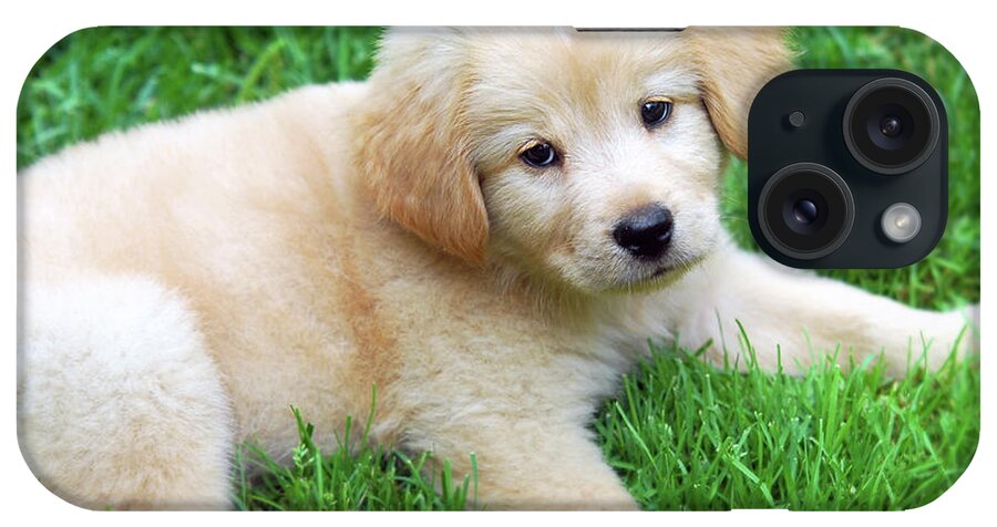 Golden Retriever iPhone Case featuring the photograph Cuddly Puppy by Christina Rollo