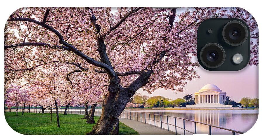 Tidal Basin iPhone Case featuring the photograph Washington Dc Cherry Trees, Footpath by Dszc