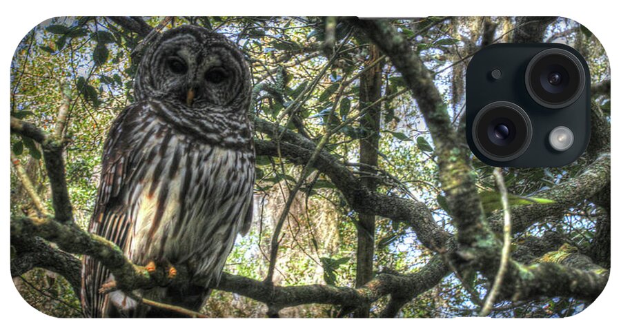 Washington Oaks Owl iPhone Case featuring the photograph Washington Oaks Owl by Robert Goldwitz