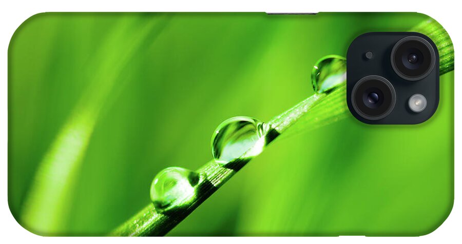 Grass iPhone Case featuring the photograph Water Droplets On Grass by Pawel.gaul
