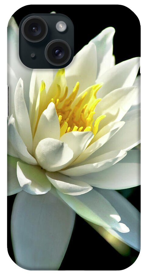 Water Lily iPhone Case featuring the photograph Water Lily by Christina Rollo