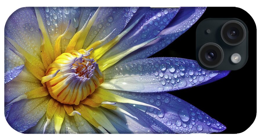 Water Lily Covered In Dew iPhone Case featuring the photograph Water Lily Covered In Dew by Wes and Dotty Weber