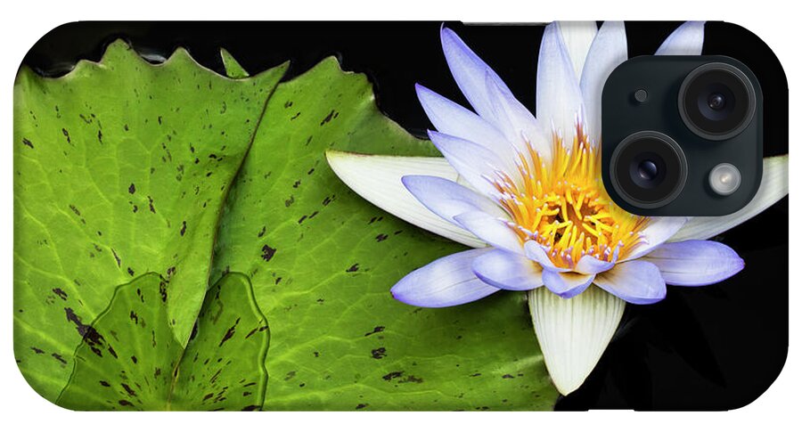 Water Lily iPhone Case featuring the photograph Water Lily by Patty Colabuono