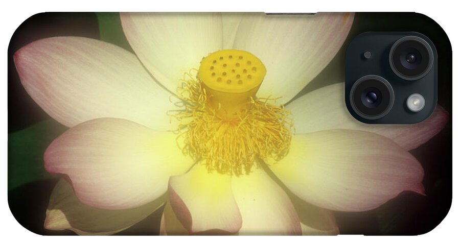 Water Lily iPhone Case featuring the photograph Water Lily by Susan Vizvary Photography