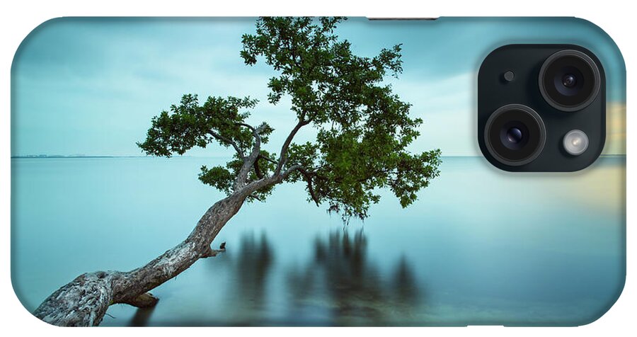 Tree iPhone Case featuring the photograph Water Tree 11 Color by Moises Levy