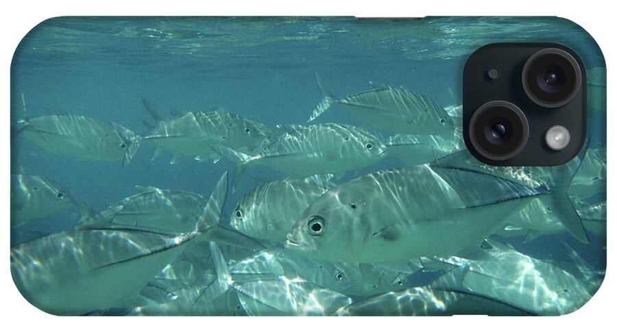 Underwater iPhone Case featuring the photograph Water World by Federica Grassi
