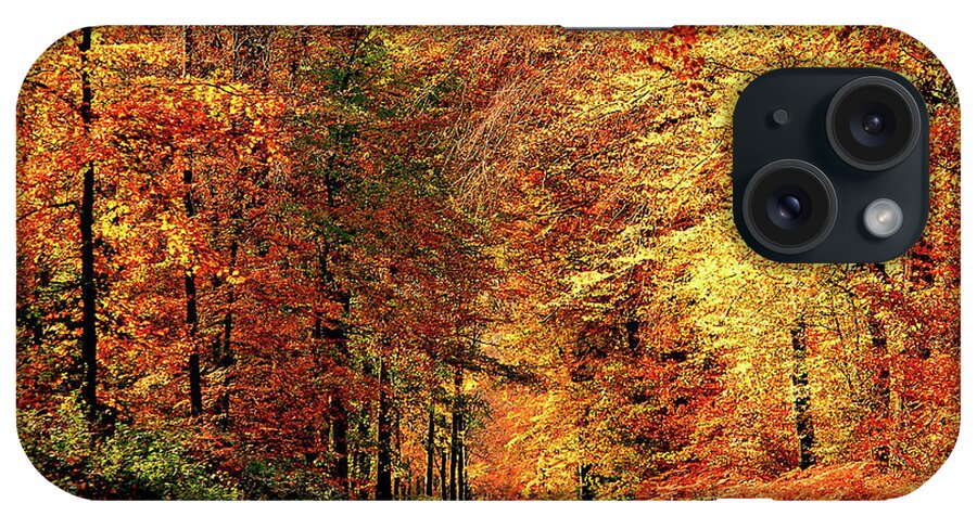 Scenics iPhone Case featuring the photograph Way Fall by Philippe Sainte-laudy Photography