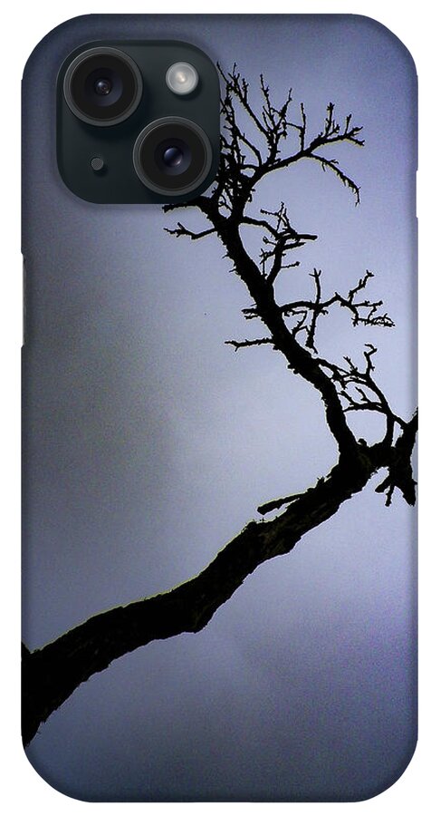 Branch iPhone Case featuring the photograph Weathered Tree Branch Silhouette Bodmin Moor by Richard Brookes